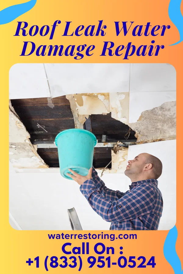Roof Leak Water Damage Repair in Larch Way, WA